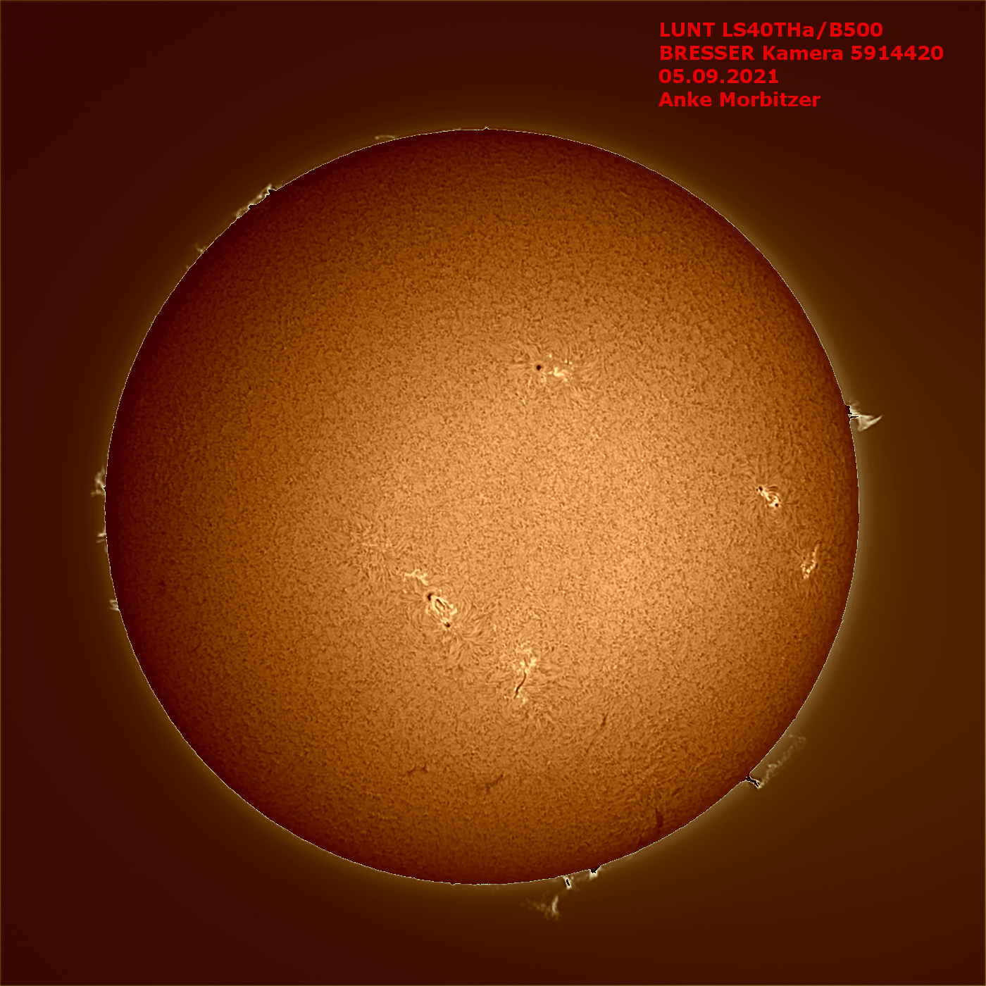 LUNT LS40THa/B1200 Télescope solaire H-Alpha