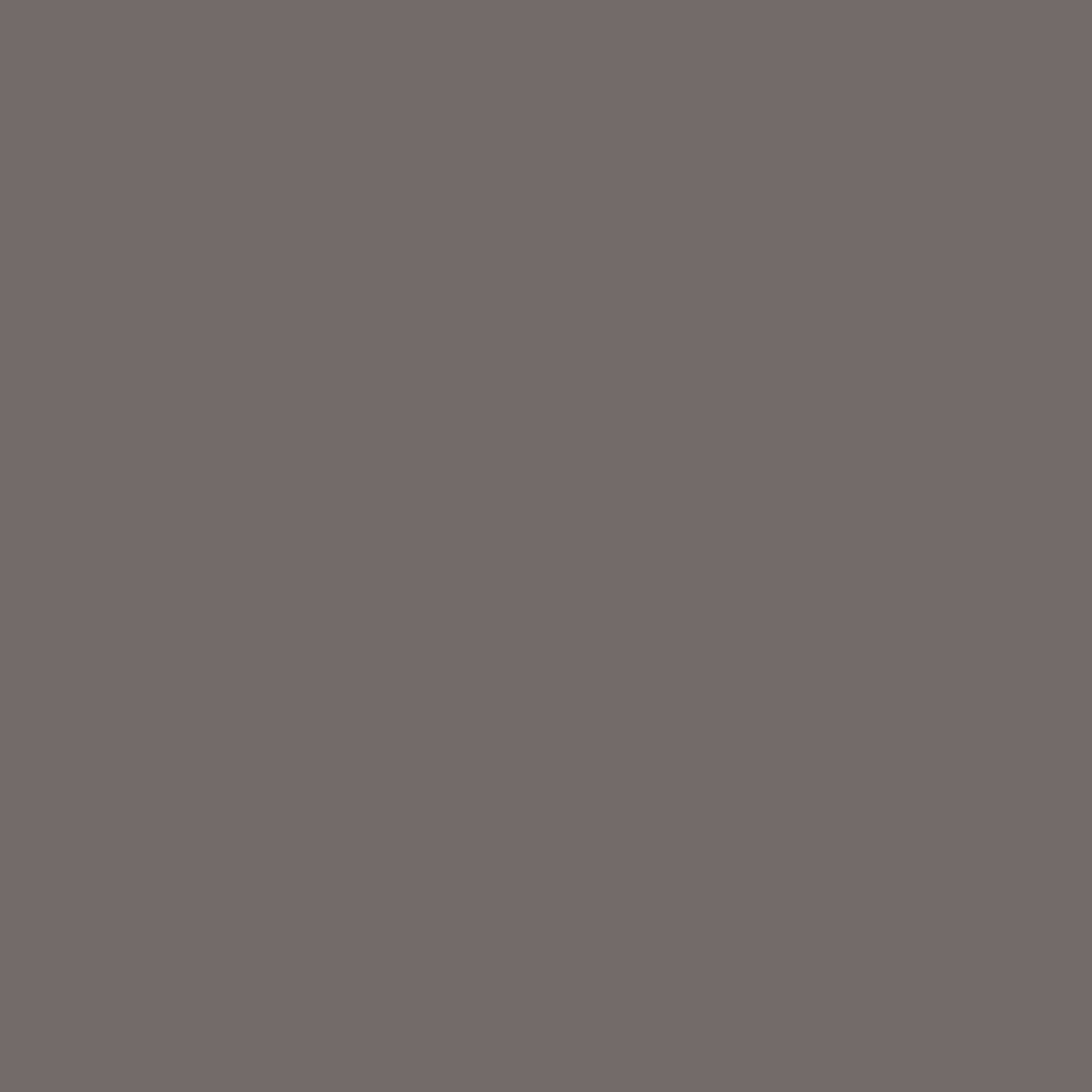 BRESSER SBP31 Fond de Studio Papier sur rouleau 1,36 x 11m Gris foncé