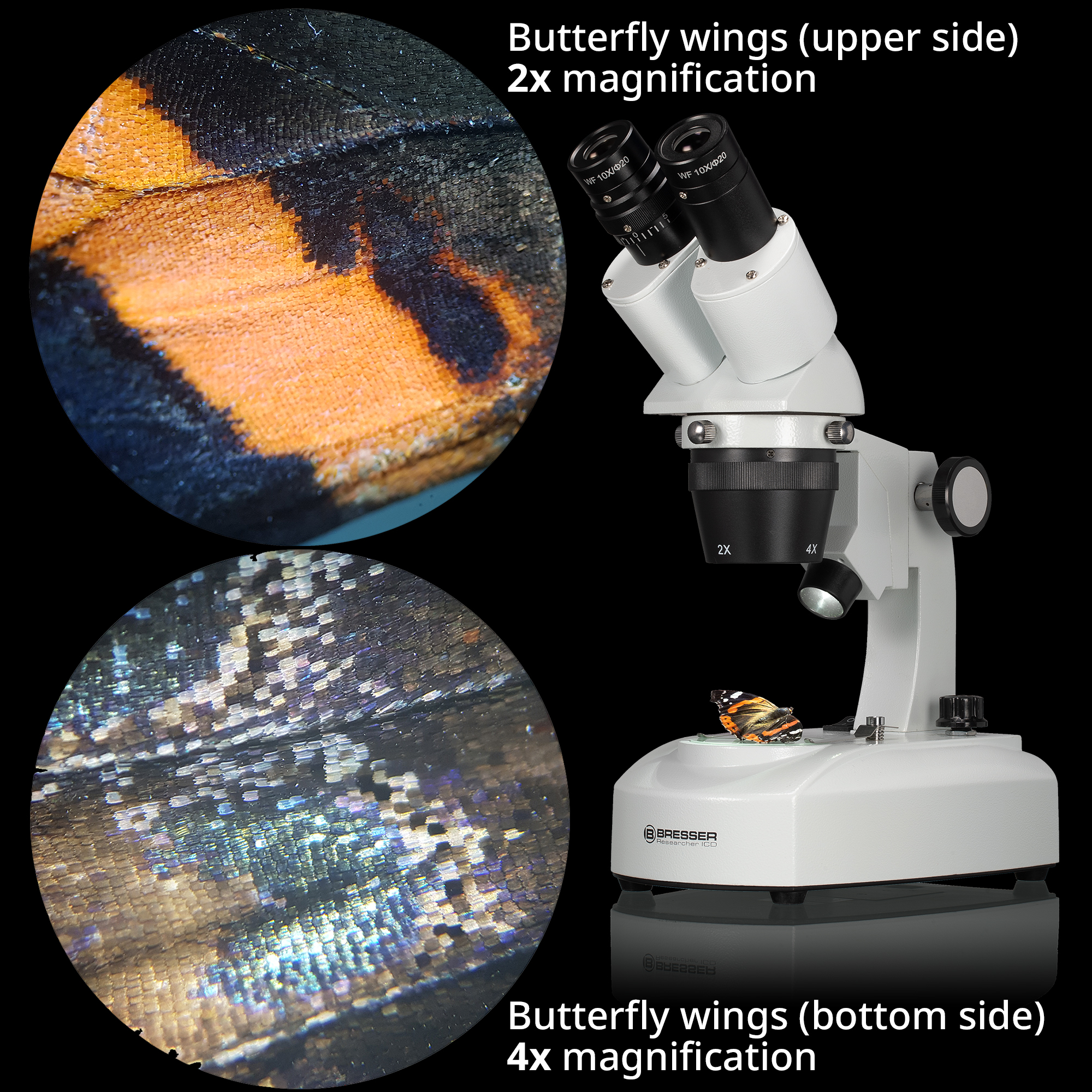 BRESSER Researcher ICD LED 20x-80x Loupe binoculaire 