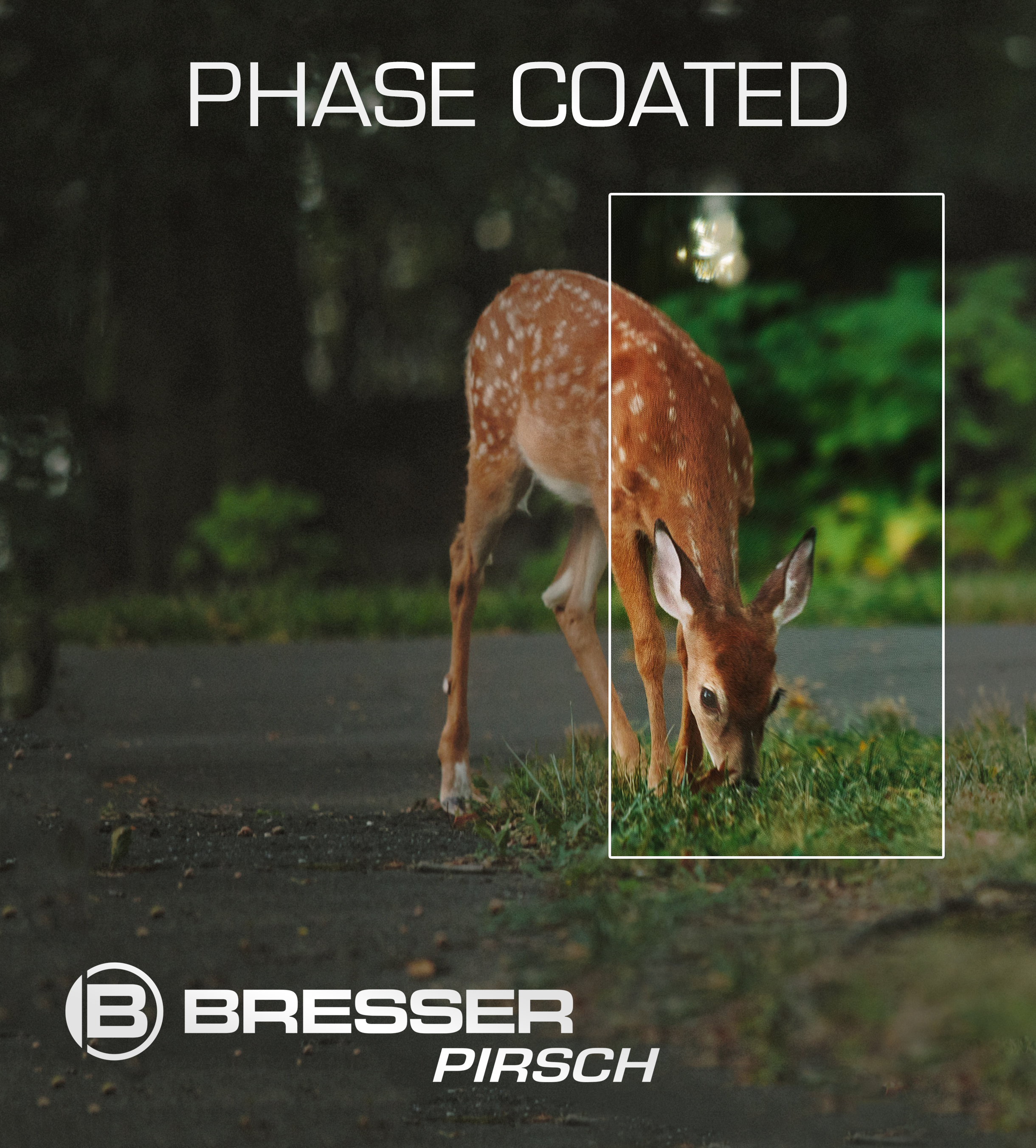 BRESSER Pirsch jumelles 8x56 Phase Coating